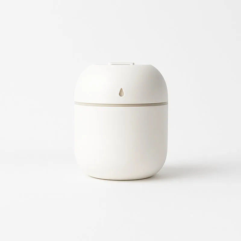 Portable Mini Lighting Humidifier (250 Ml)