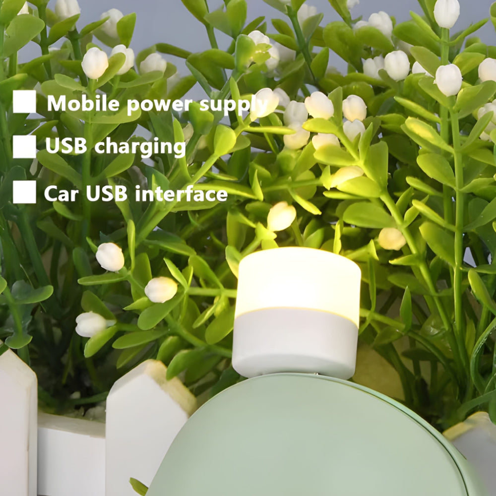 Mini USB Night Light