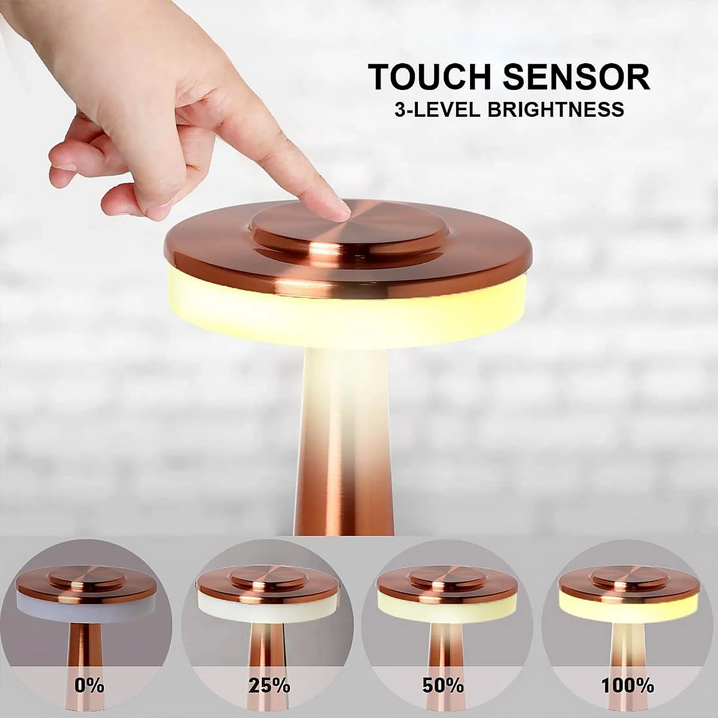 LED Touch Control Table Lamp