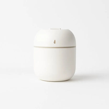 Portable  Mini Lighting Humidifier (250 Ml)