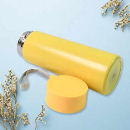 Vacuum Insulated Bottle (500 Ml)