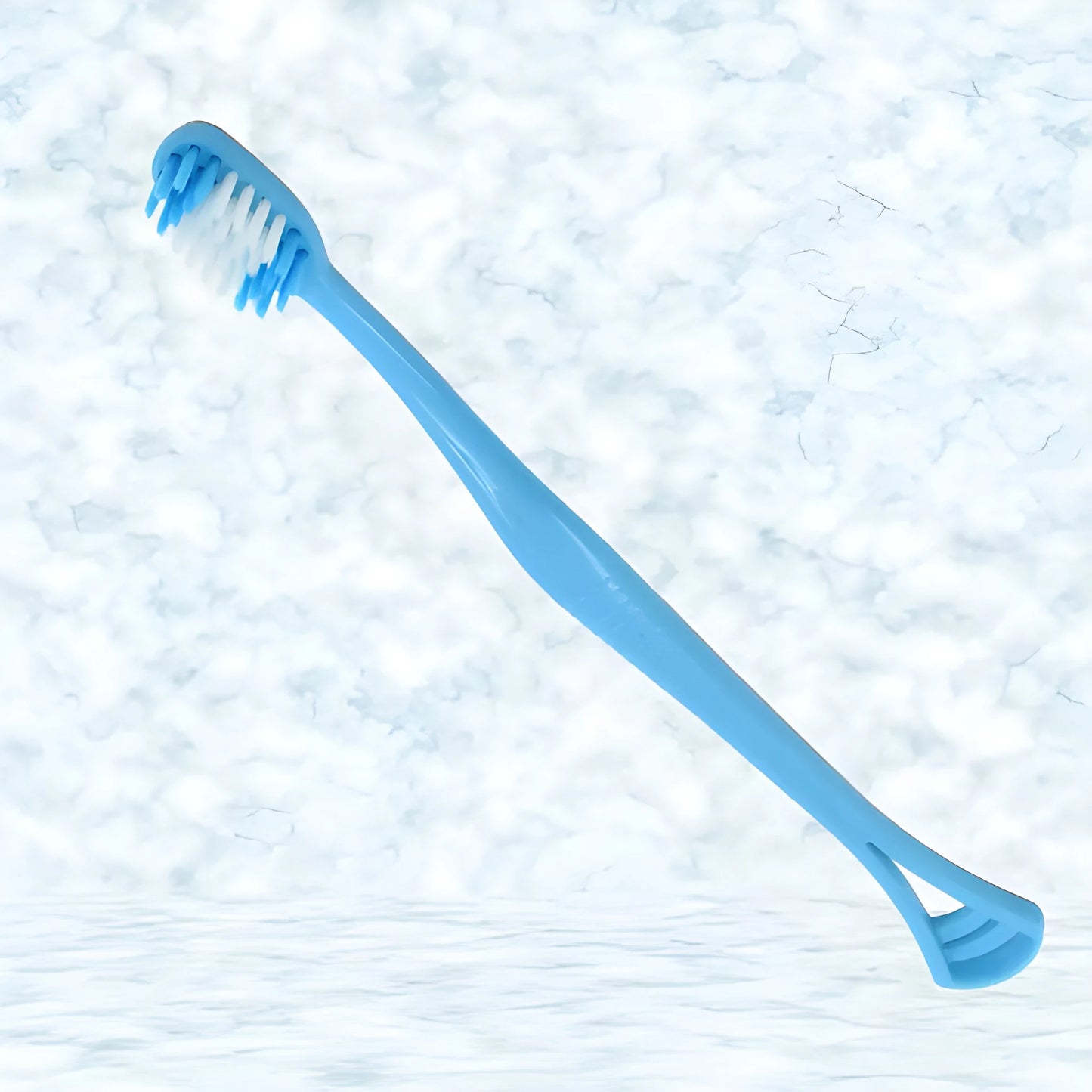 2-in-1 Toothbrush with Case