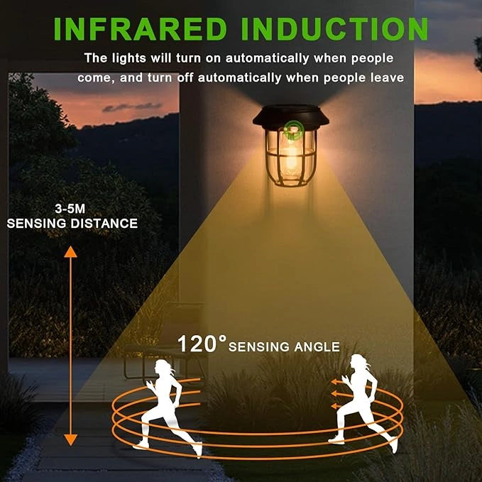 Solar Lantern Wall Light