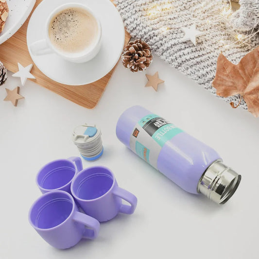 Stainless Steel Flask Set