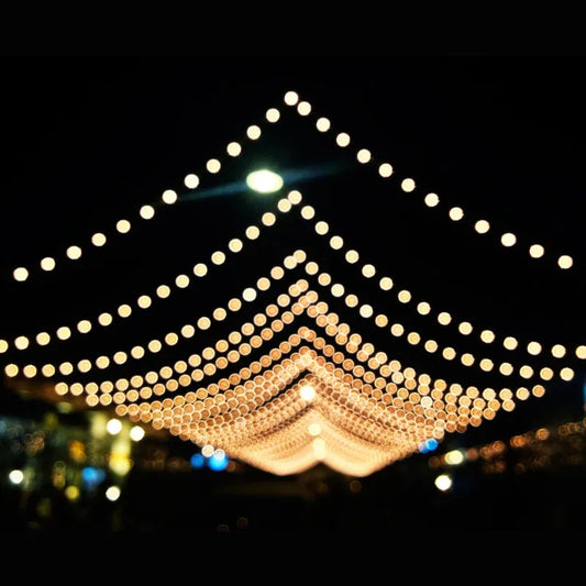 Festival Decoration Led String Light (3m)