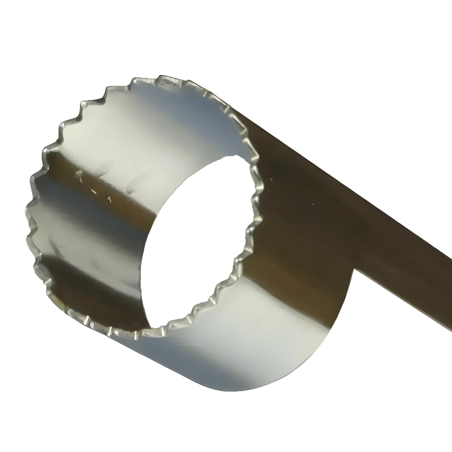 Stainless Steel Fruit Corer