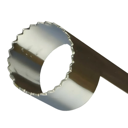 Stainless Steel Fruit Corer