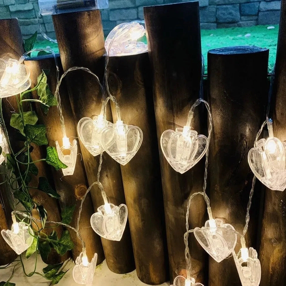 Multi-Color LED String Lights
