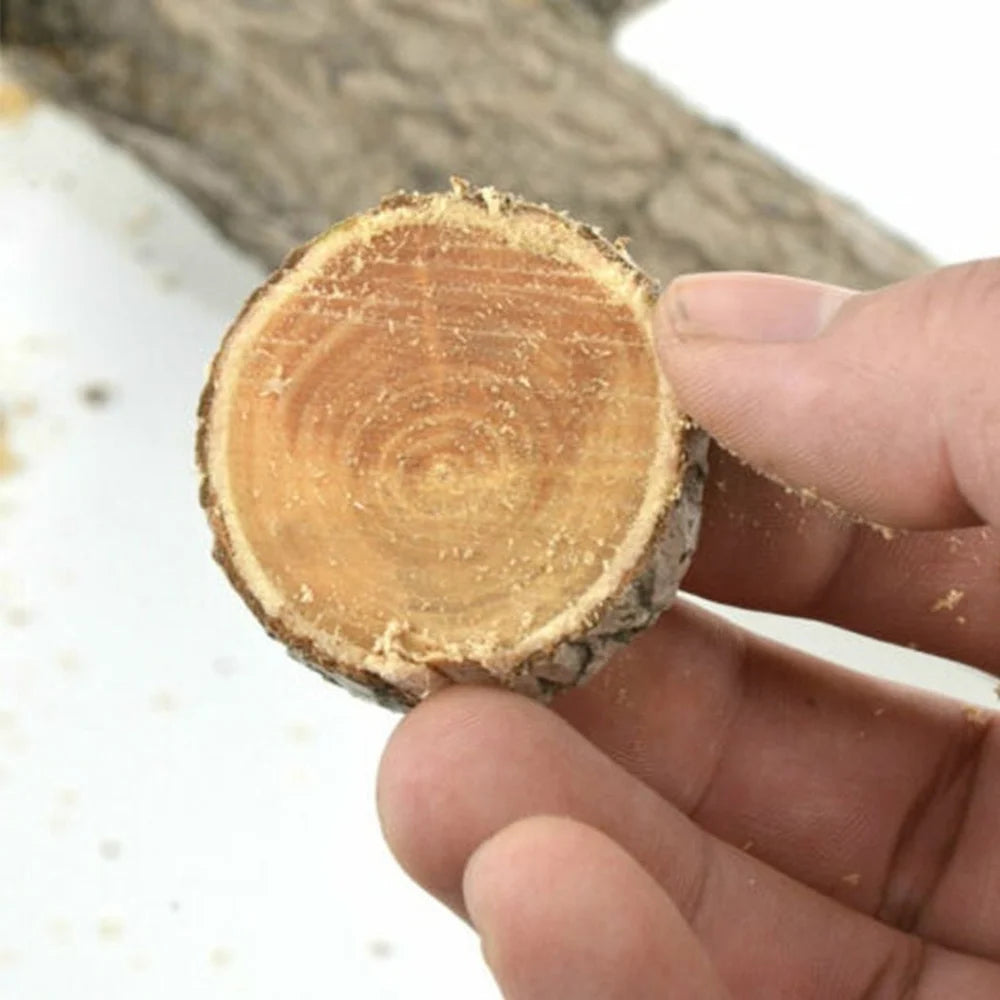 Tree Pruning Saw