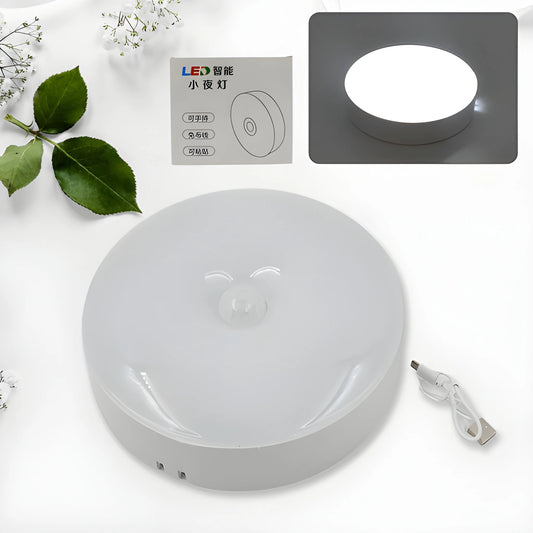Wireless Motion Sensor LED Light