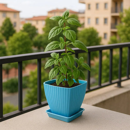 Trendy Square Flower Pots