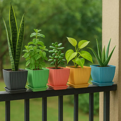 Trendy Square Flower Pots