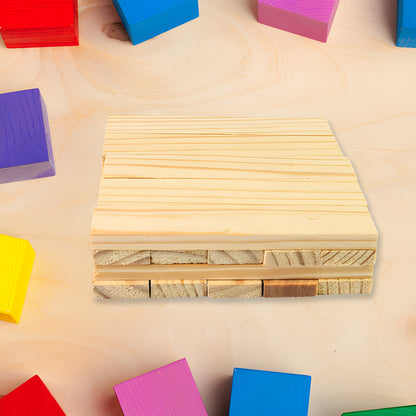 Wooden Brain Puzzle