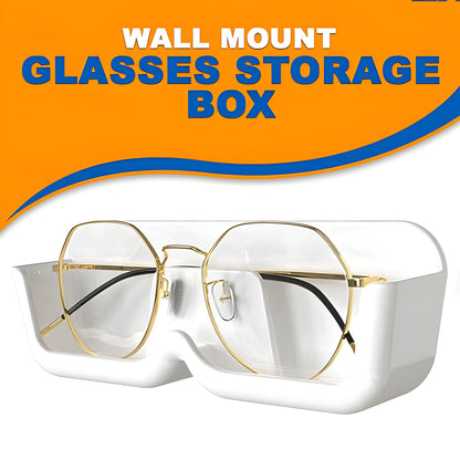 Wall Mount Sunglass Organizer