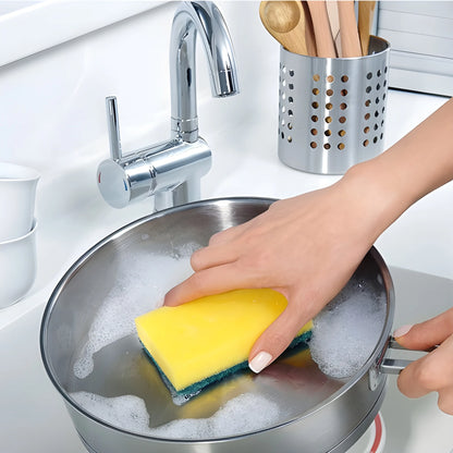 2-in-1 Odor-Resistant Scrubber