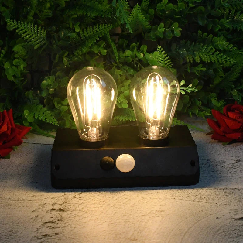 Solar LED Wall Lamp